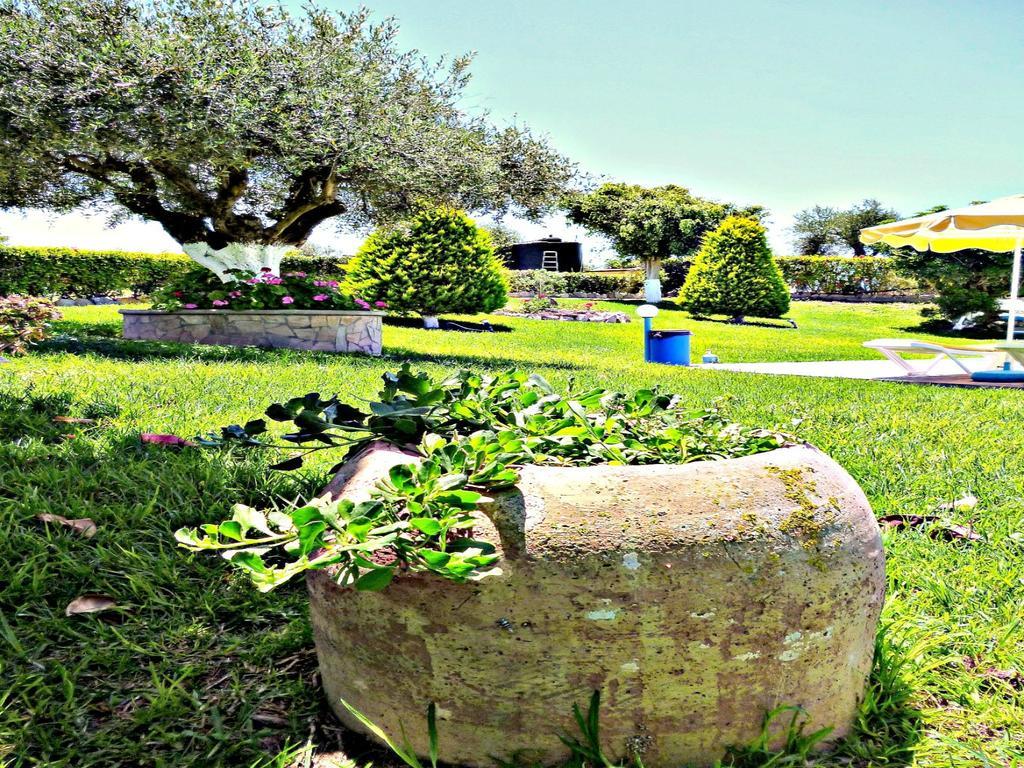 Sunlight Studios Theológos Exteriér fotografie